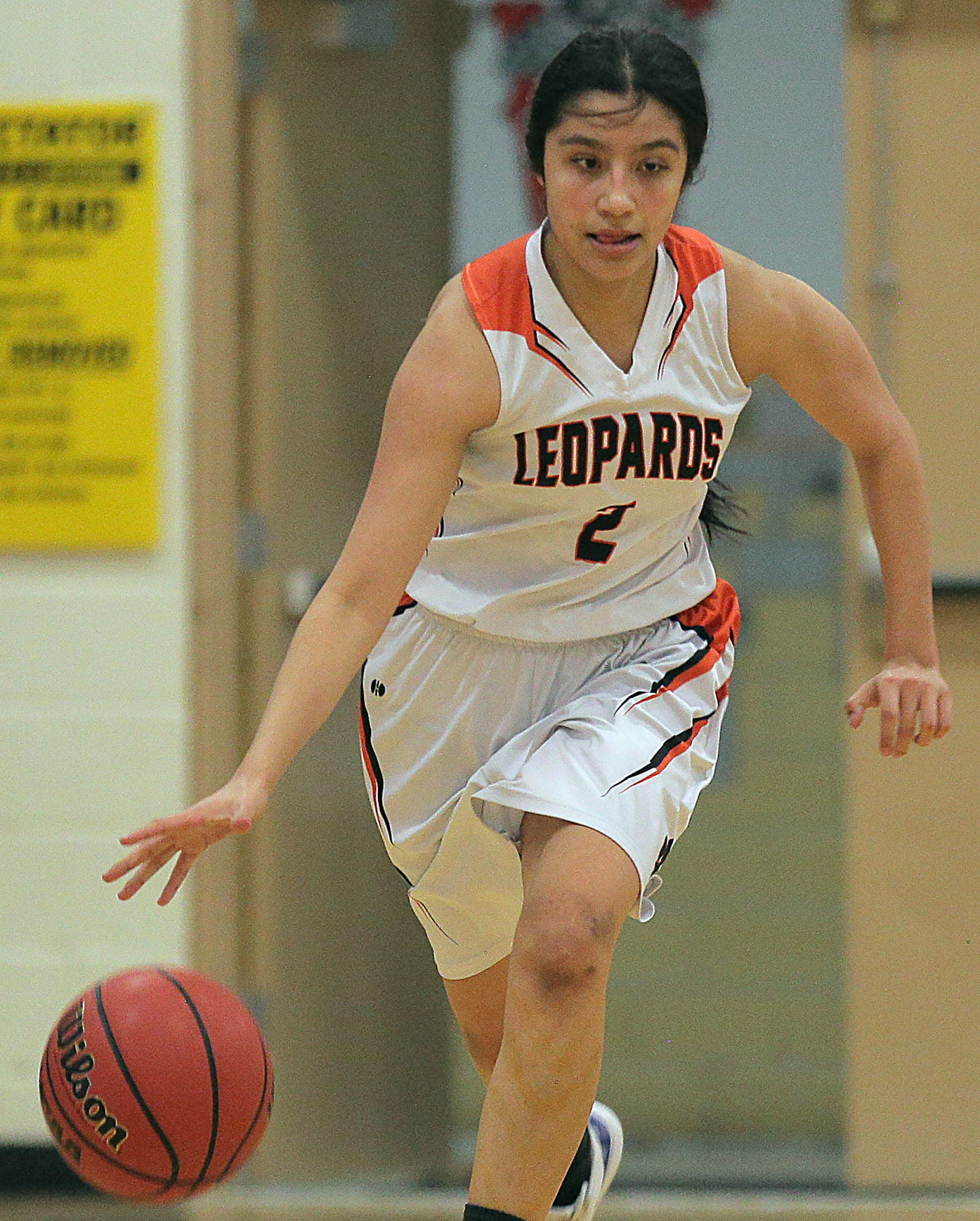 Owyhee at Wells Girls Basketball (109).jpg
